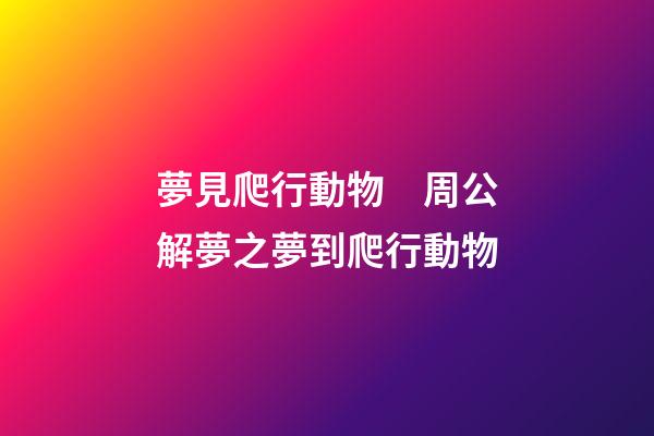 夢見爬行動物　周公解夢之夢到爬行動物